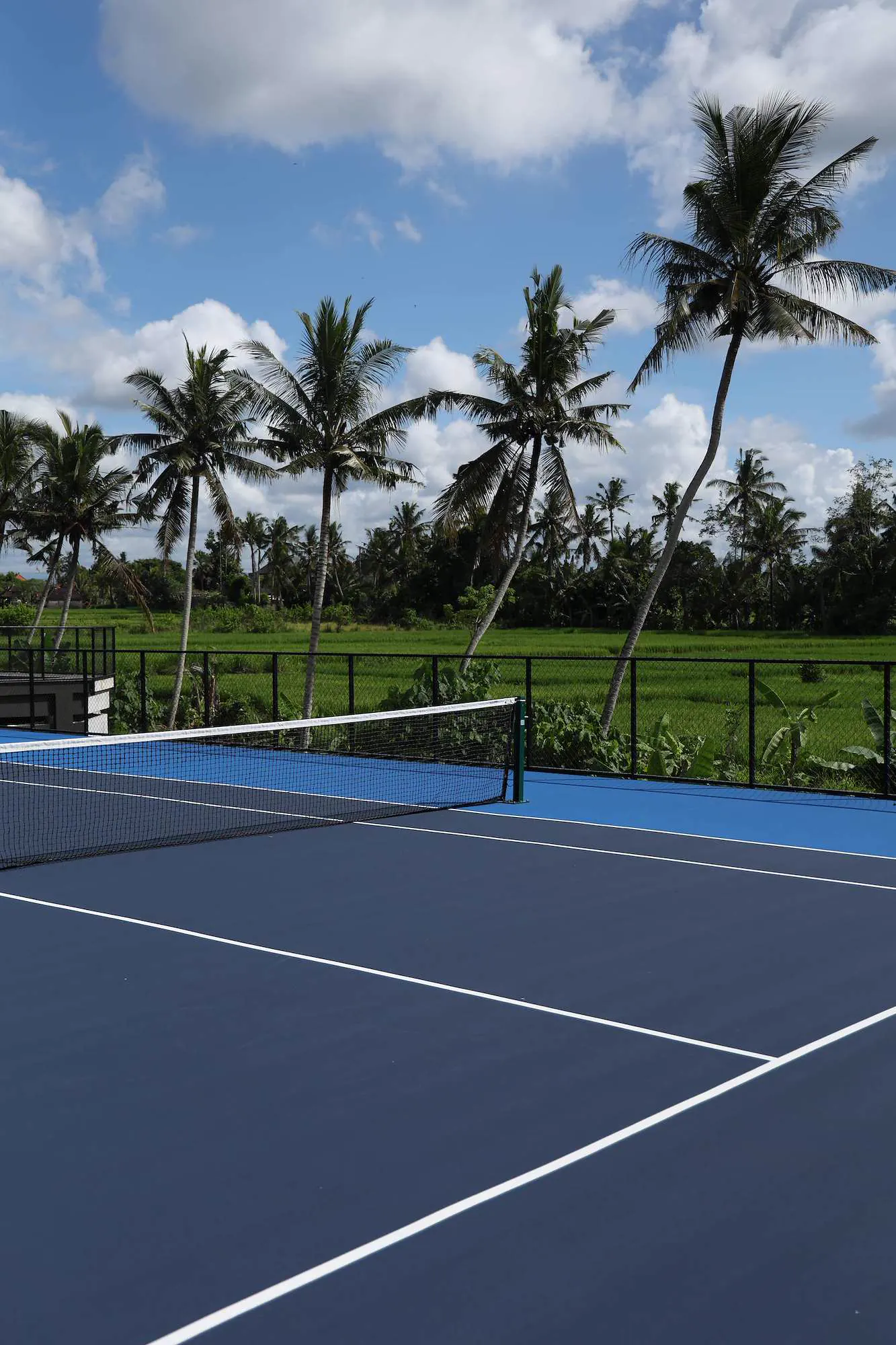 Campo da tennis circondato da palme e risaie a Bali.