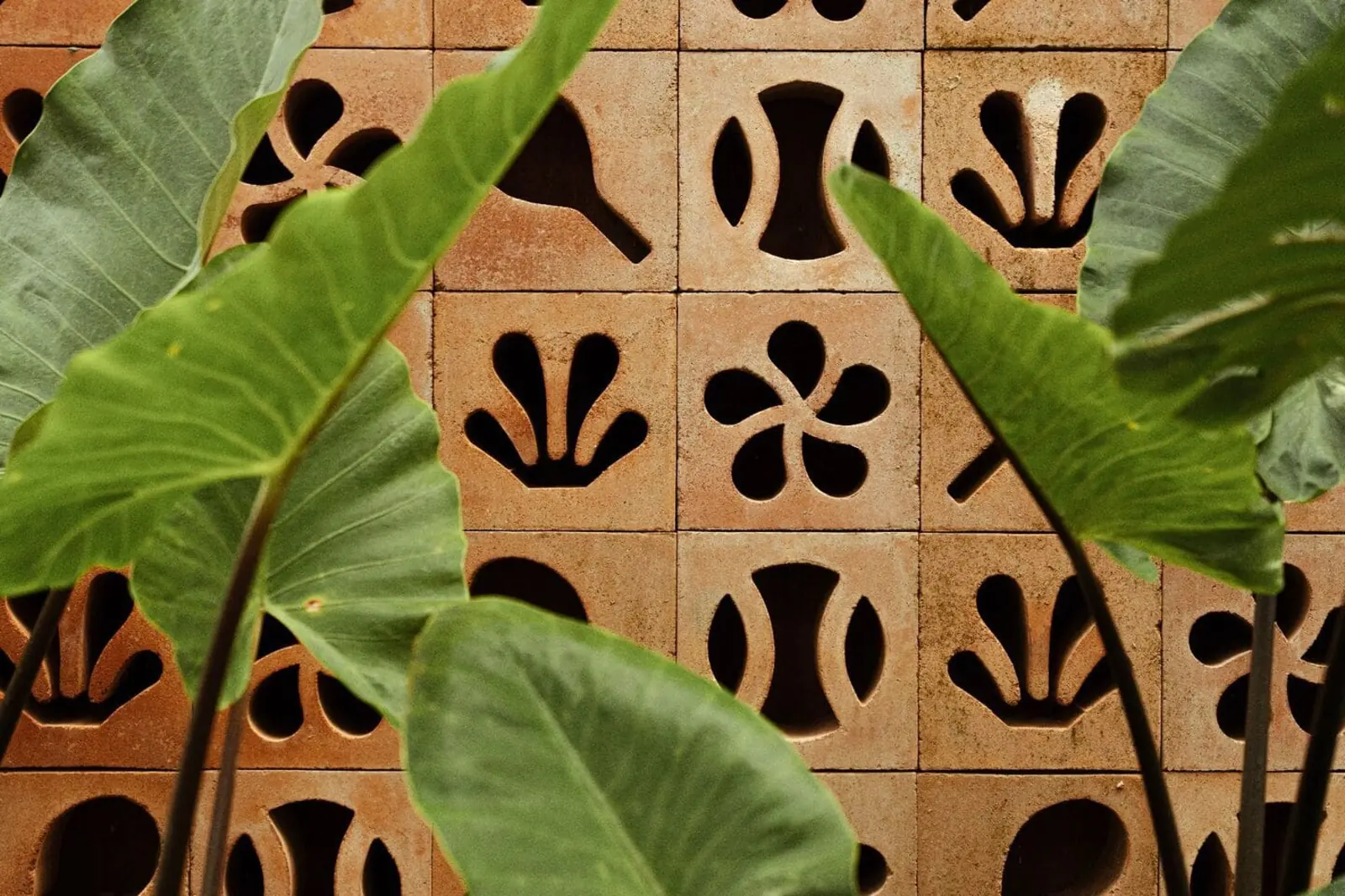 Plantes tropicales devant un mur décoratif en terre cuite au Mouratoglou Tennis Center Bali